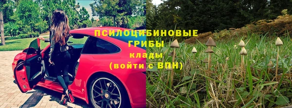 a pvp Киреевск