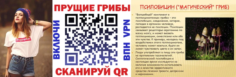 сколько стоит  Заринск  Псилоцибиновые грибы Cubensis 