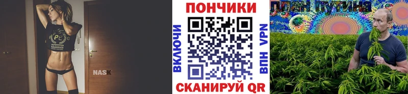 Бошки марихуана ГИДРОПОН  даркнет сайт  Заринск 